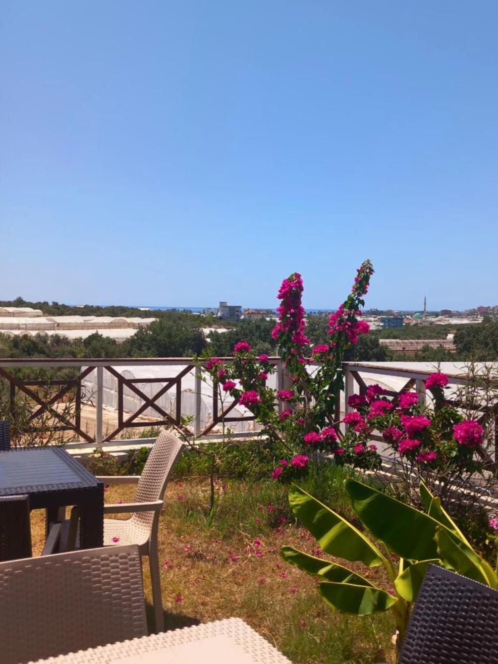Bu Bungalow Hotel Demre Exterior foto